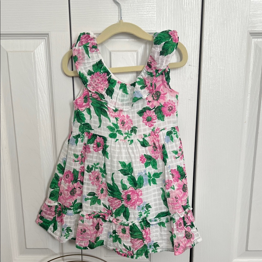 Janie and Jack Floral Dress - Pink and Green